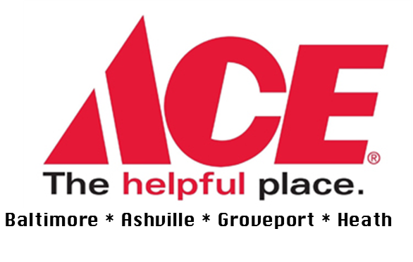 ACE logo