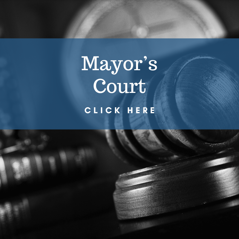 Villiage of Pleasantville Mayor's Court