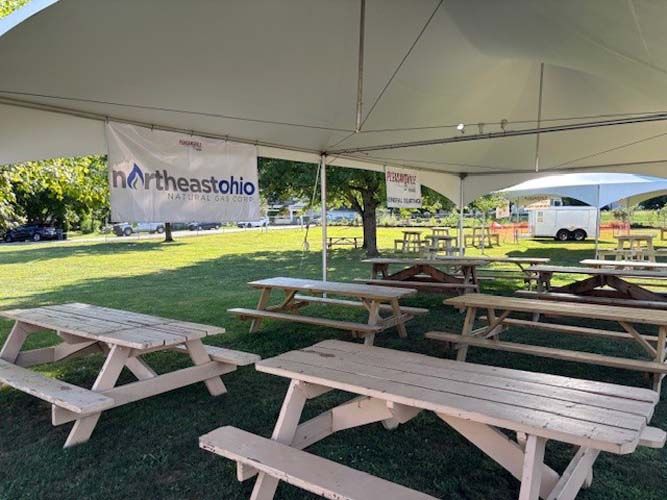 Crowd enjoying live music stage